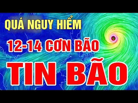 Dự báo thời tiết hôm nay, ngày mai 25 tháng 7 năm 2021 | Tin Bão năm 2021 | Thời tiết 3 ngày