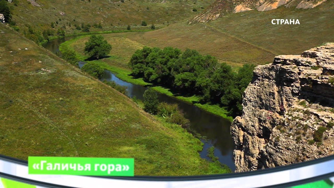 Поздравление тещу с 50 летием Поздравление тещу с 50 летием