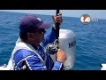 VAMONOS DE PESCA CD. DEL CARMEN CAMP. SABALO GIGANTE. VAMONOS DE PESCA CD. DEL CARMEN CAMP. SABALO GIGANTE.