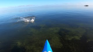 Florida Keys December Perfect Sight Fishing Flats Day