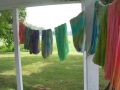 dyed in the wool