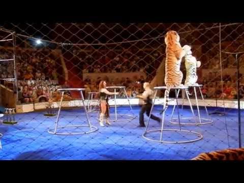 Уфимский цирк - YouTube Уфимский цирк - YouTube