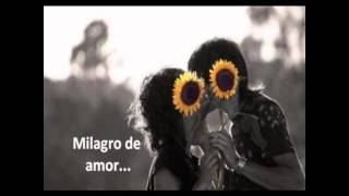 Watch Elefante Milagro De Amor video
