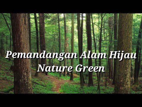 Pemandangan Alam Hijau (Nature Green)