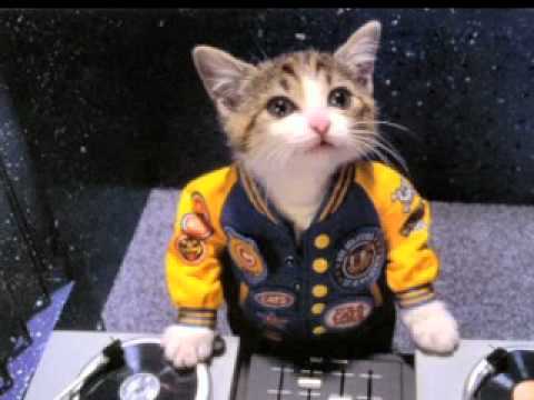 Dj riDersbOy Ghungte Me Chanda Hai Remix 2009