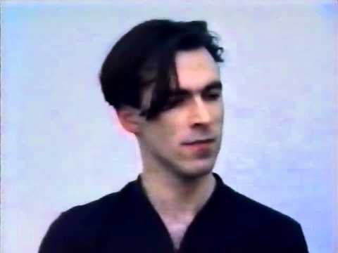 Animal in the Mirror Video