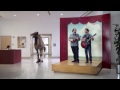 Geico Hump Day Twerk Mix Capitol Trill images Geico Hump Day Twerk Mix Capitol Trill