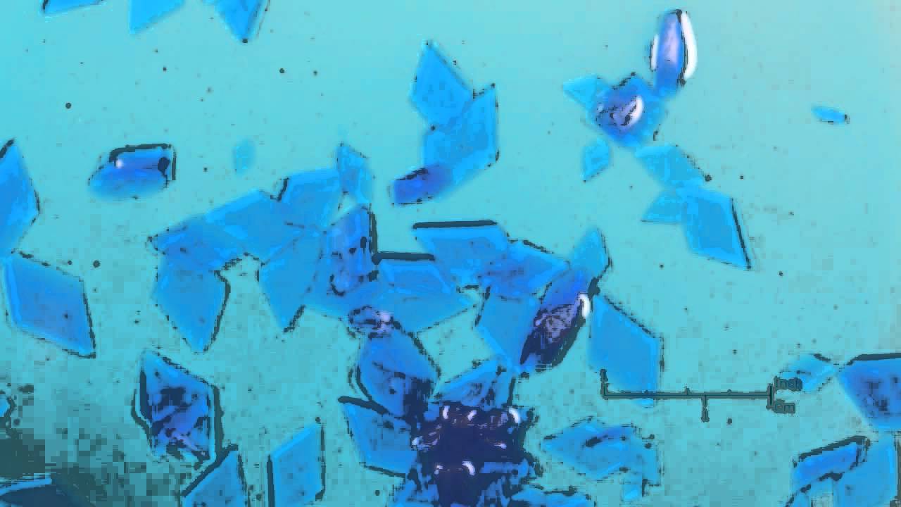 Copper Sulfate Crystals Timelapse YouTube