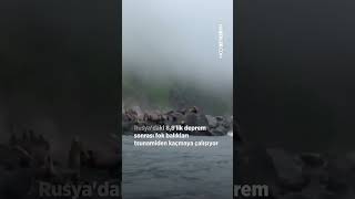 Rusyadaki 8,8Lik Deprem Sonrası Fok Balıkları Tsunamiden Kaçmaya Çalışıyor