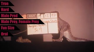 Making Of Dinotime Behind The Vore