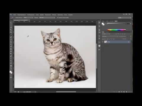 Как сделать белый фон на фотографии в фотошопе cc