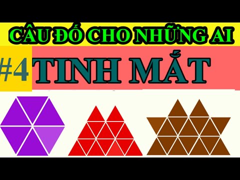 Những câu đố vui hay nhất có đáp án phần 12 | Đố vui có đáp án