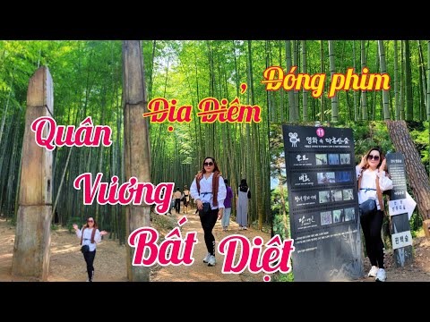 Tham Quan Khu Rừng Đóng Nhiều Phim Truyền Hình |cuộc sống hàn quốc|#232
