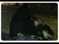 Mulher encontra bêbado deitado em calçada e faz sexo com ele na China