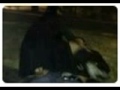 Mulher encontra bêbado deitado em calçada e faz sexo com ele na China