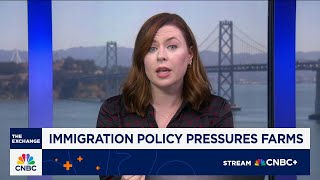 Trumps Immigration Policy Pressures American Farms