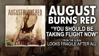 Watch August Burns Red You Should Be Taking Flight Right Now video