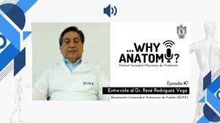 Podcast Why Anatomy ? | Episodio #7 | Entrevista al Dr. René Rodríguez Vega