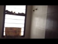 f2 動画7b