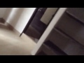 f2 動画7c