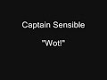 Captain Sensible - Wot [HQ Audio]