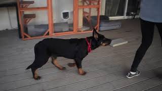 Presto Training Session