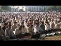 Muslims celebrate Eid al-Adha holiday