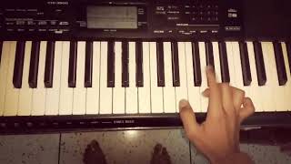 Na Na Na Naa ( Main tera boyfriend ) casio cover