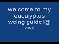 runescape- eucalyptus tree guide!
