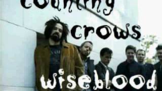 Watch Counting Crows Wise Blood video