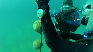 Mergulho Com Cilindro Para Troca De Hidrofone