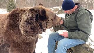 Happy Birthday To All Of Our Bears Read Description Happy Birthday To All Of Our Bears Read Description