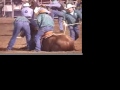 GRAPHIC -- Rodeos Abuse, Maim and Kill Animals