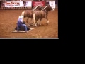 GRAPHIC -- Rodeos Abuse, Maim and Kill Animals