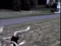 Kevin Fox vs. Steve Grappling