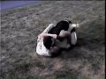 Kevin Fox vs. Steve Grappling