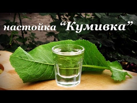 Настойки на хрене рецепт