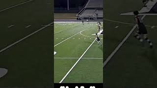 X_NWDlfz15o Video Image