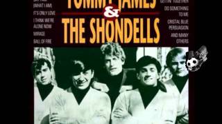 Watch Tommy James  The Shondells Mony Mony video