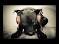 Electronic Dance Music Mix 2011-2012 Best Of