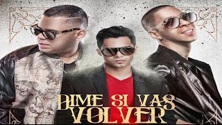 Video Dime Si Vas A Volver (Remix) Baby Rasta Y Gringo