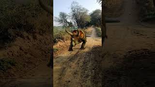 Anaconda Chasing Dinosaur Running 🦖🐍 #shorts #Snake