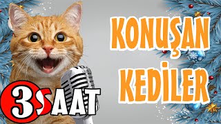 Konuşan Kediler 3 Saat - Sinema Tadında Komik Kedi ları