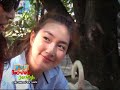 แพนเค็ก