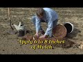 planting