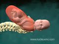 vaginal birth