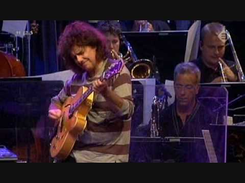 Pat Metheny & Metropole Orchestra t7 - North Sea Jazz Festival 2.wmv