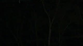 2 28 2024 Nocturnal Windstorm With 50Mph Winds 5