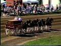 Budweiser Clydesdales at 2008 Little Brown Jug