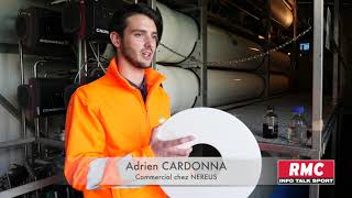 NEREUS